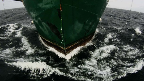 LEVIATHAN FOTO CRÍTICA I