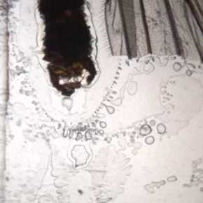 Celluloid Warfare II by Sam Spreckley&nbsp;(GBR)