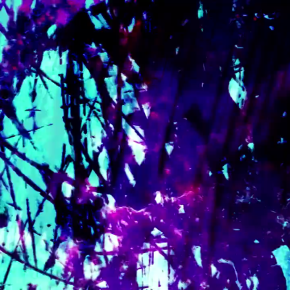 ZASMAŻANY FILM | FRIED FILM by Pedro Ferreira&nbsp;(PRT)