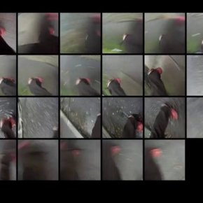 derive (1x6x4x1) by Ricardo Greene&nbsp;(CHI)