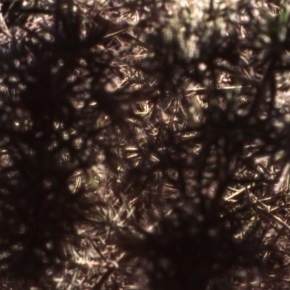 NO SABEMOS LO QUE PUEDE EL&nbsp;CINE