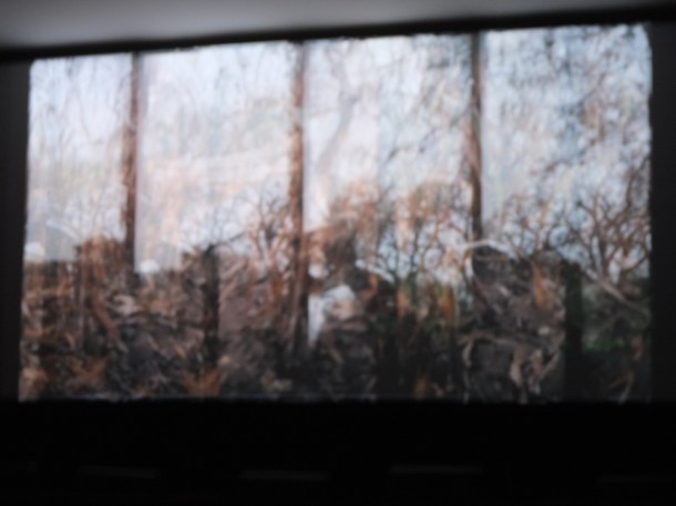 Soldadera - Coletivo Los Ingravidos