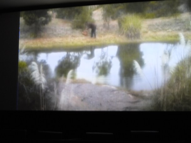 Od-El camino - Martin Mejia Rugeles