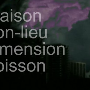 Carps by Juliette Yu-Ming&nbsp;(SGP/FRA)