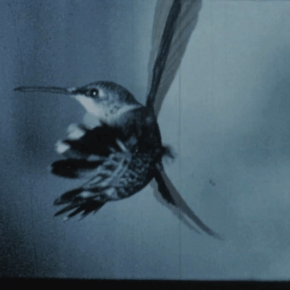 Morning… Came a Day Early. by Richard Kerr&nbsp;(CAN)