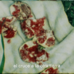 Corteza neón by Bruno Varela&nbsp;(MEX)