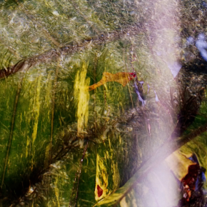 Escuchamos el canto de las sirenas by Bruno Varela&nbsp;(MEX)