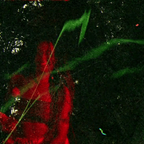 Tantas vozes no silêncio do agora by Cristiana Miranda&nbsp;(BRA)