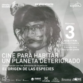 Cine para habitar un planeta deteriorado&nbsp;(Colombia)